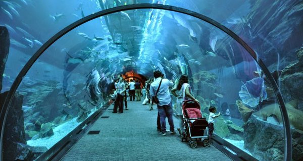 Океанариум в «Дубай Молле», Фото alux.com