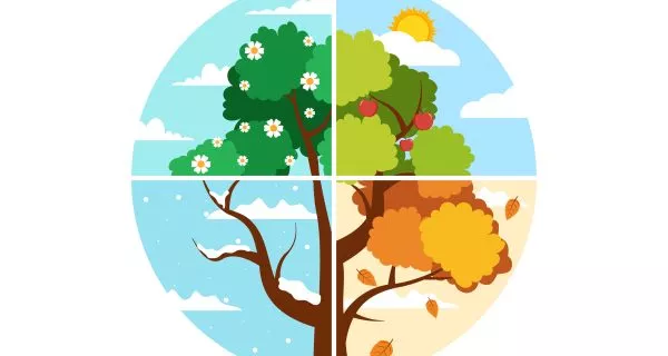 Scenery of the Four Seasons of Nature with Landscape Spring, Summer, Autumn and Winter in Template Hand Drawn Cartoon Flat Style Illustration